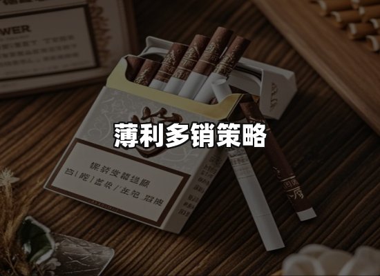 专业优势